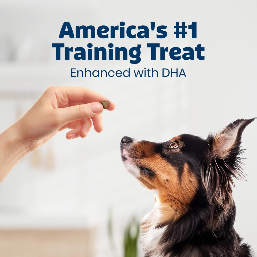 Blue Buffalo Bits Beef Training Treats, 19 oz | Real Beef First, DHA for Cognitive Development, No Chicken By-Product Meals, Free from Red Dye 40