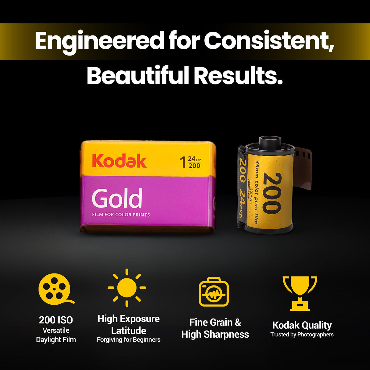 Kodak Gold 200 35mm Film Roll 24 Exp 3 Rolls with Sturdy Tiger Storage Case